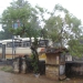 Sri Lanka 552